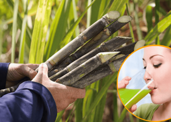 Ganne kaa juice Pine ke Fayde : गन्ने का जूस पीने के 10 सबसे बड़े फायदे |