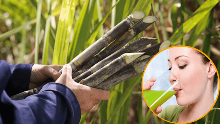 Ganne kaa juice Pine ke Fayde : गन्ने का जूस पीने के 10 सबसे बड़े फायदे |