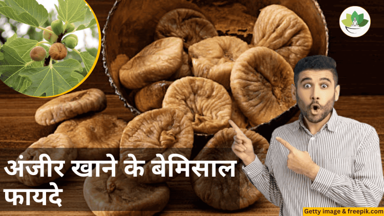 anjir khane ke fayde