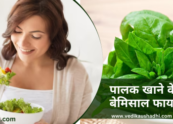 palak khane ke fayde