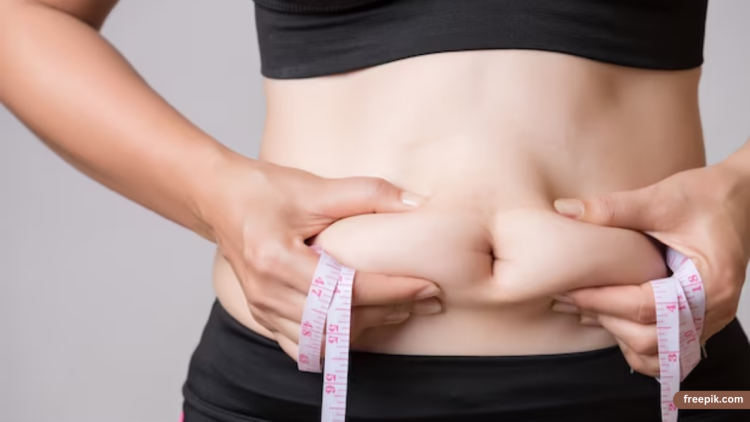 पेट की चर्बी कैसे घटाएं