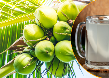 nariyal pani ke fayde