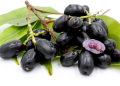 jamun