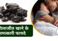 Shilajit ke Fayde : शिलाजीत के फायदे हिंदी