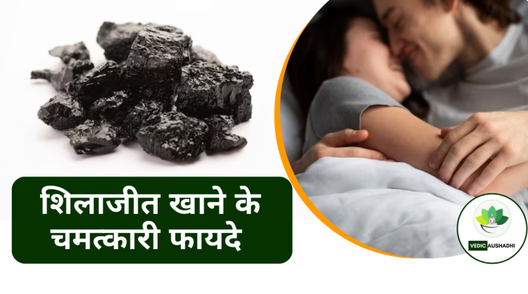 Shilajit ke Fayde : शिलाजीत के फायदे हिंदी