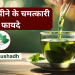 Green Tea ke Fayde : ग्रीन टी पीने के फायदे|