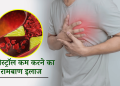 कोलेस्ट्रॉल कम करने का रामबाण इलाज |